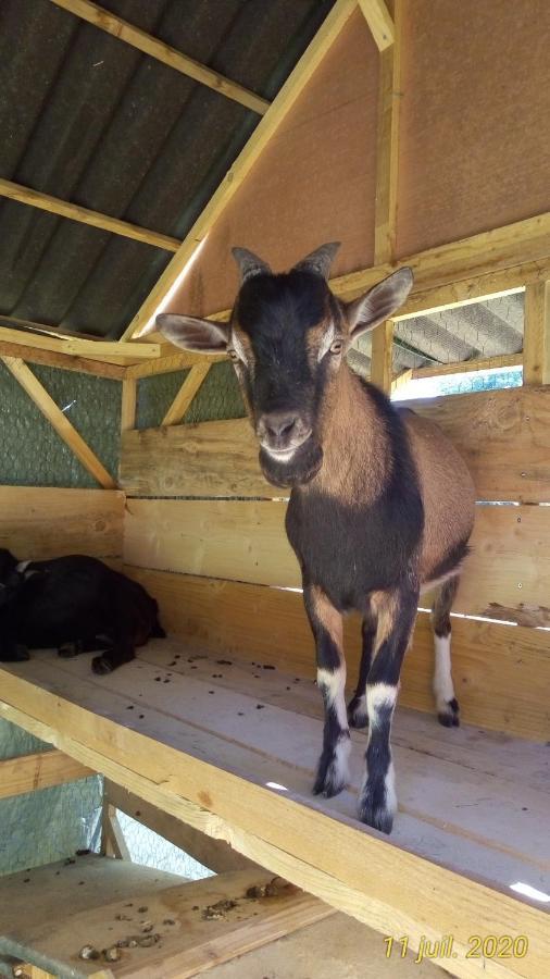 Montendre Montplaisir Bed & Breakfast エクステリア 写真